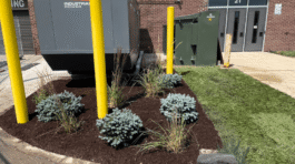 New Electrical System Upgrade